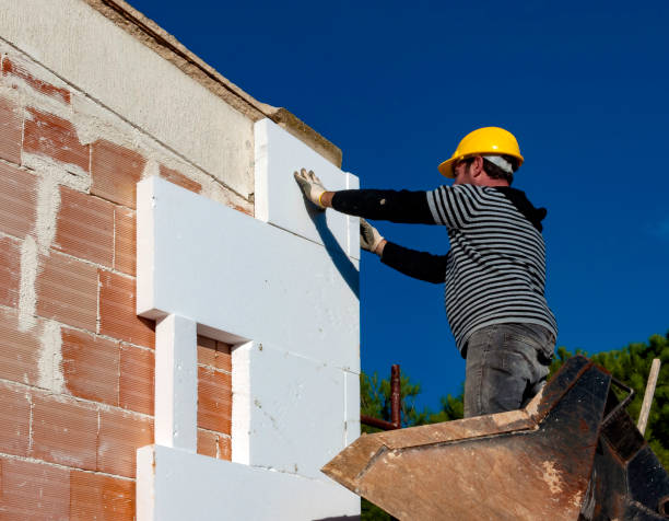 Best DIY Insulation Kits and Guidance in Washoe Valley, NV