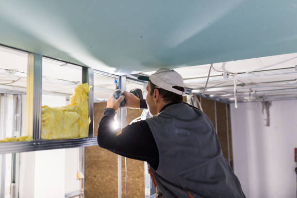 Best Cellulose Insulation in Washoe Valley, NV