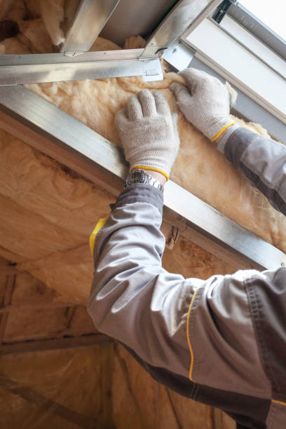 Washoe Valley, NV Insulation Contractor Company