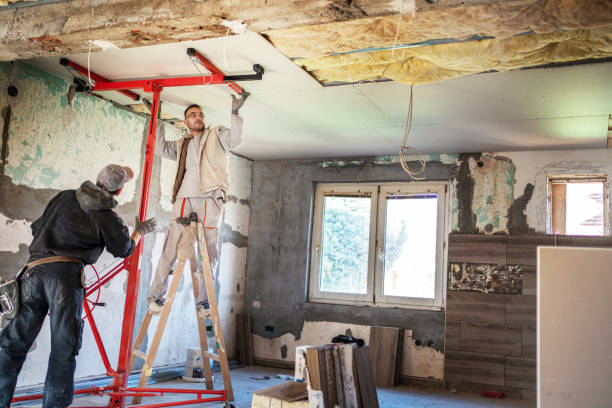 Best Cellulose Insulation in Washoe Valley, NV