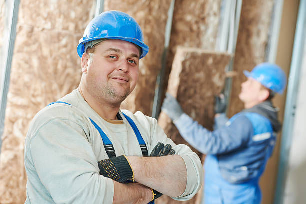 Best Cellulose Insulation in Washoe Valley, NV