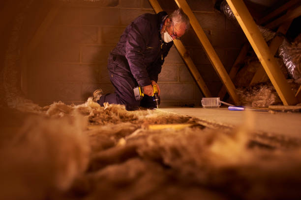 Best Eco-Friendly Insulation in Washoe Valley, NV